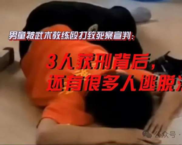 男童被武术教练殴打致死案宣判：3人获刑背后还有很多人逃脱法网