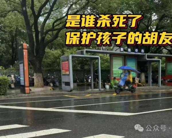 是谁杀死了保护孩子的胡友平女士